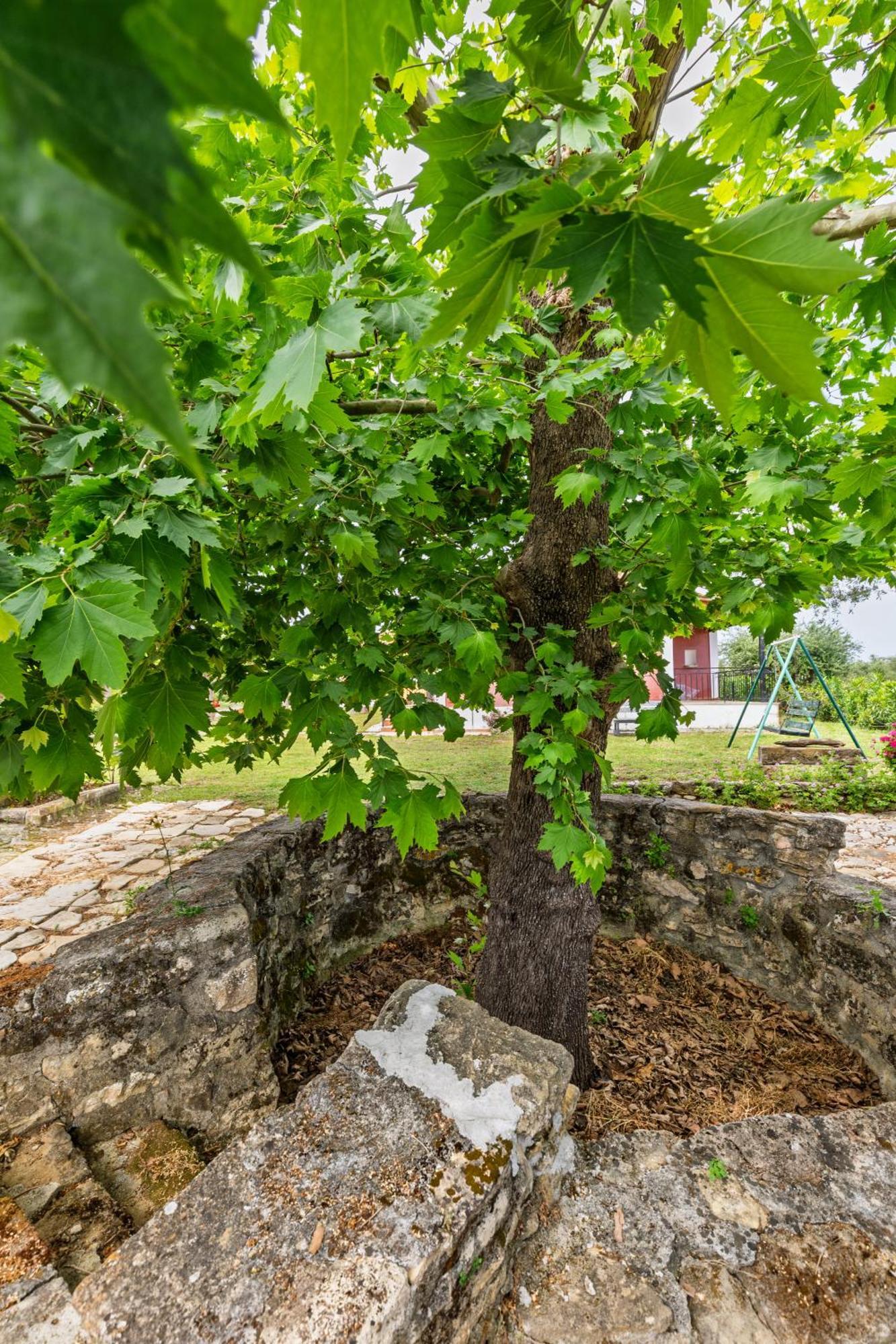Appartement Nemorosa